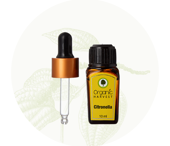 Organic Harvest 10ml Citronella Essential Oil - Zoom Image 2