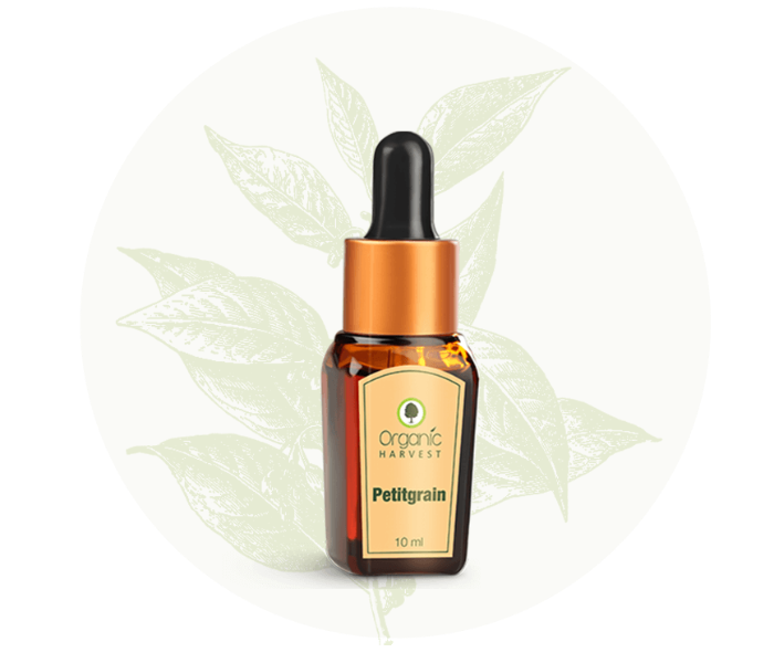 Organic Harvest 10ml Petitgrain Essential Oil - Zoom Image 2