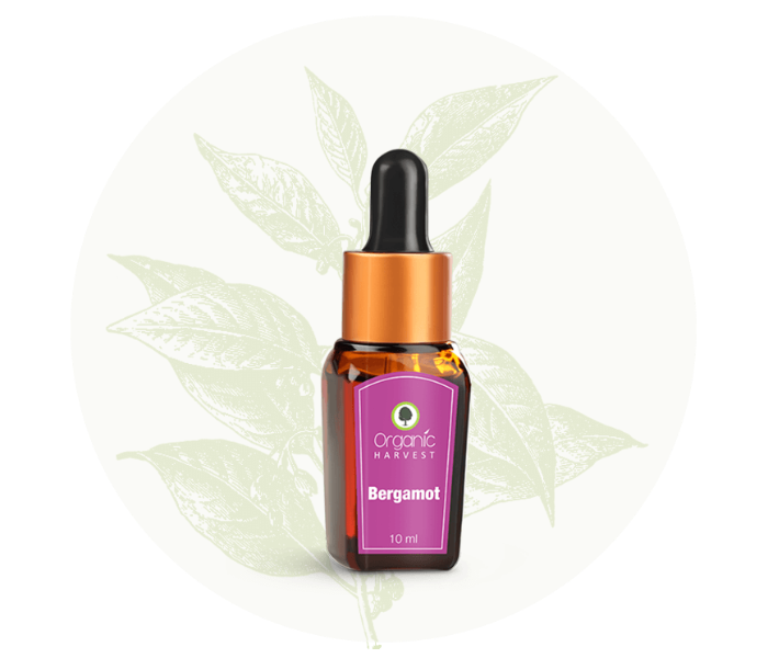 Organic Harvest 10ml Bergamot Essential Oil - Zoom Image 2