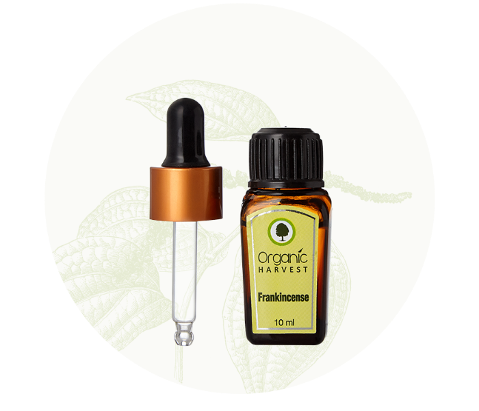 Organic Harvest 10ml Frankincense Essential Oil - Zoom Image 2