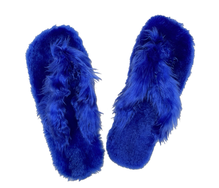 Casual LFV56 US 10 Daily Wear Soft Flat Home Slippers for Women - Blue - Zoom Image