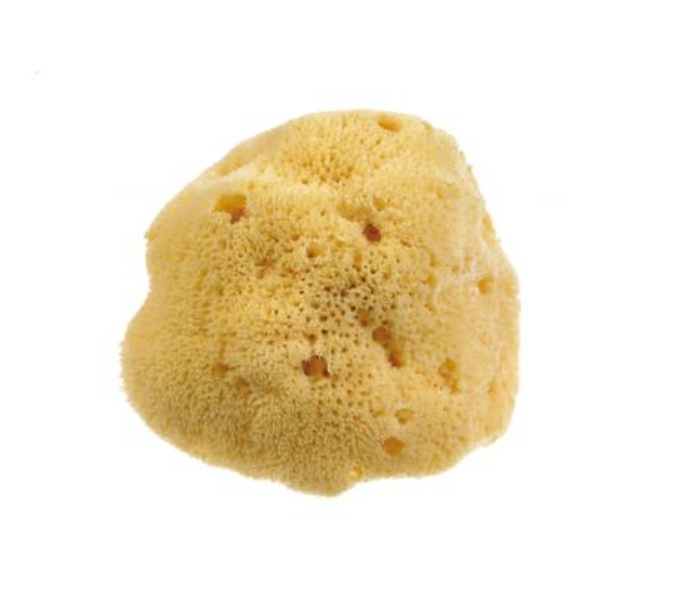 Beautytime BT333 Medium Natural Sea Sponge - Zoom Image