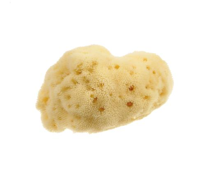 Beautytime BT332 Small Natural Sea Sponge - Zoom Image