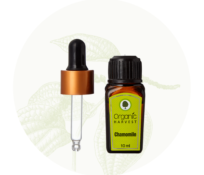 Organic Harvest 10ml Chamomile Essential Oil - Zoom Image 2