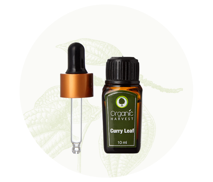 Organic Harvest 10ml Curry Leaf Essential Oil - Zoom Image 2