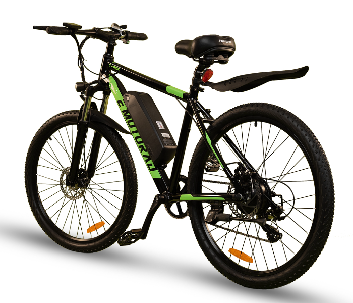 E-Motorad T-REX 250W Mountain Bike - Black and Green - Zoom Image 3