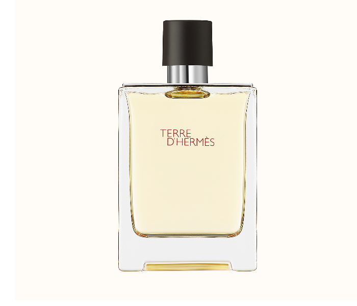 Hermes 100ml Terre D'Hermes Eau De Toilette for Men - Zoom Image 2