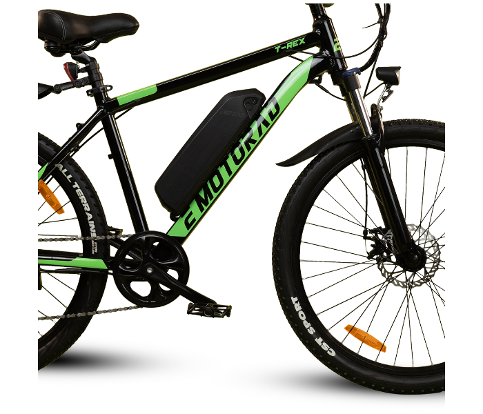 E-Motorad T-REX 250W Mountain Bike - Black and Green - Zoom Image 4