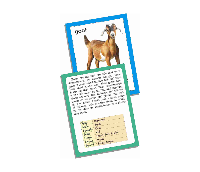 JMsouq Creative Educational CE00451 Discover Animals Flash Cards Educational Game for Kids - Zoom Image 2