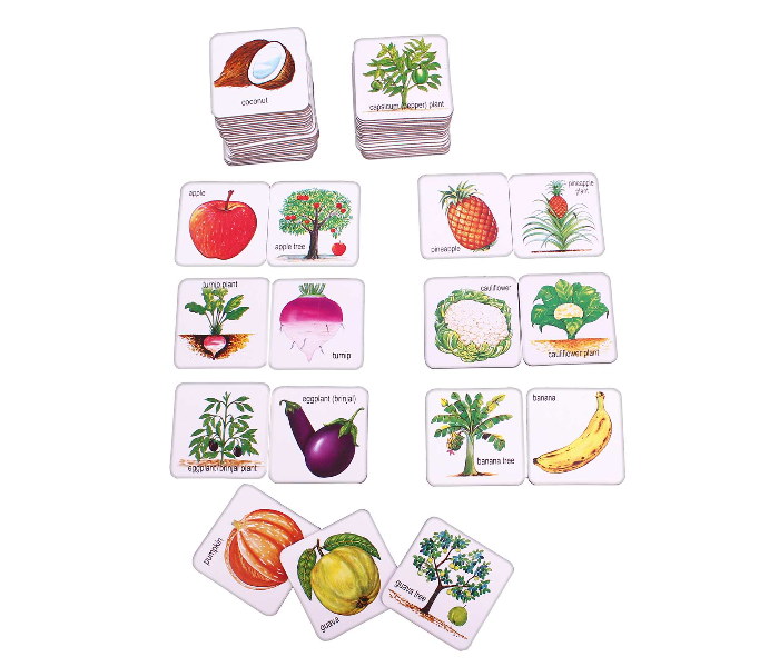 JMsouq Creative Educational CE01017 Fruits Vegetables and Their Plants 2 in one Game for Kids - Zoom Image 2