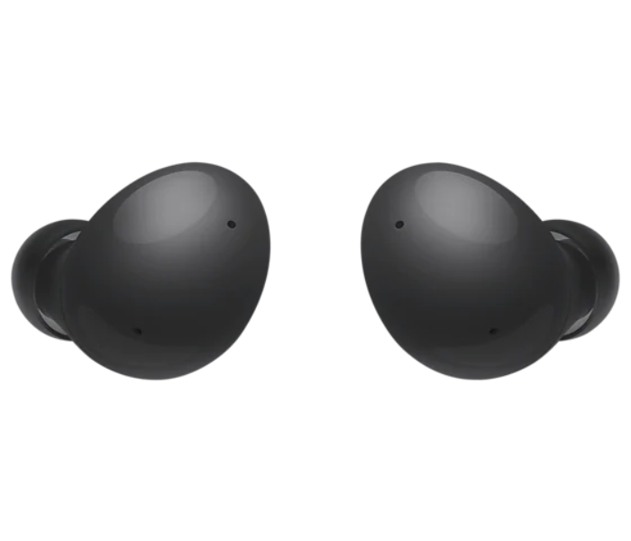 Samsung Galaxy Buds 2 - Graphite - Zoom Image 1