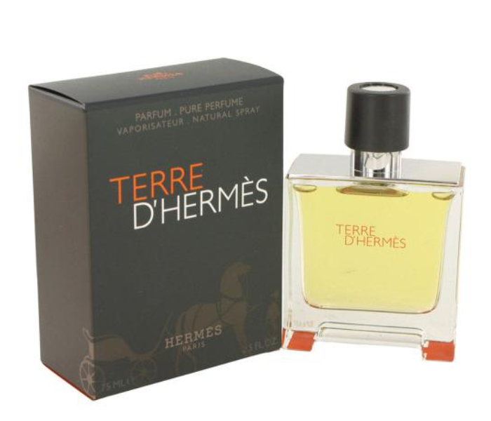 Hermes Terre D Hermes Eau de Parfum 75ml for Men - Zoom Image