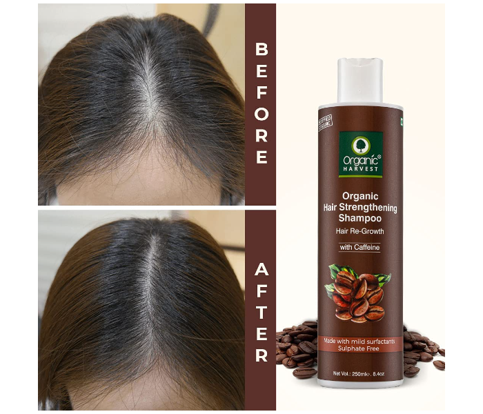 Organic Harvest 250ml Coffee Hair Strengthening Shampoo - Zoom Image 4