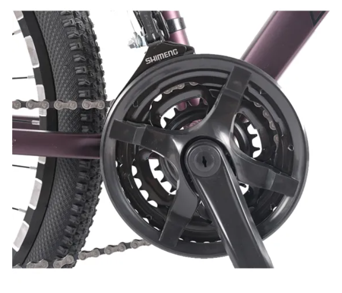 Bicystar 29 Inch 21 Speed Mountain Aluminium Bike - Purple - Zoom Image 2