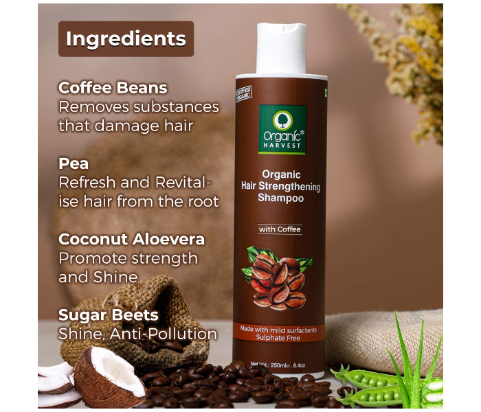 Organic Harvest 250ml Coffee Hair Strengthening Shampoo - Zoom Image 6