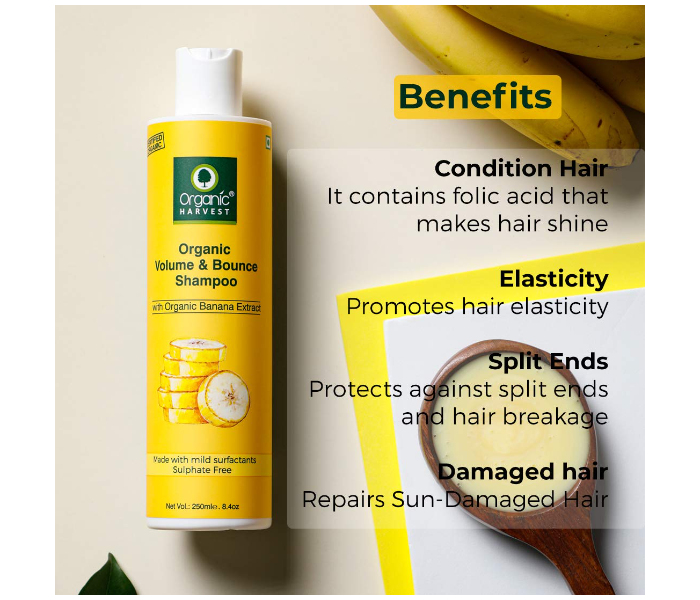 Organic Harvest 250ml Banana Volume and Bounce Shampoo - Zoom Image 2