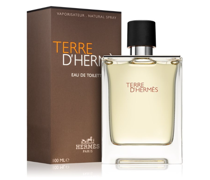 Hermes Terre D Hermes Eau de Toilette 100ml for Men - Zoom Image