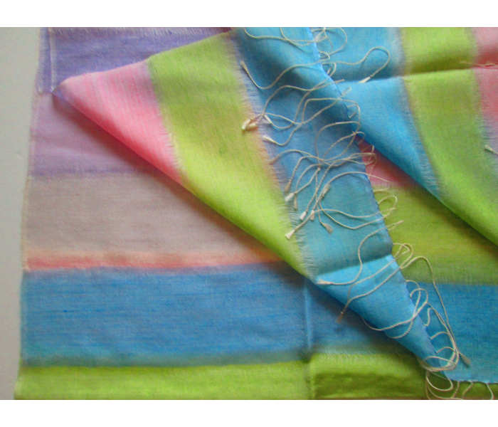 Style It STY-PS-TGB Genuine Hand Woven Multicolor Pashmina Shawl - Zoom Image 2