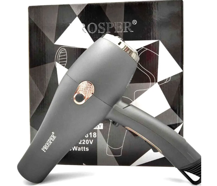 Generic Prosper Blow Dryer for Professional Use - Grey - Zoom Image 1