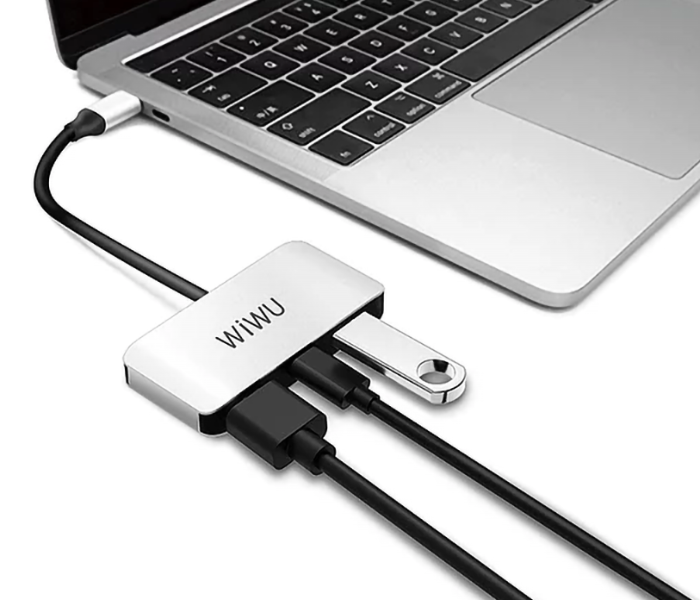 Wiwu ALPHAC2HG  Alpha 3 In 1 USB-C Hub C2H - Grey - Zoom Image 1