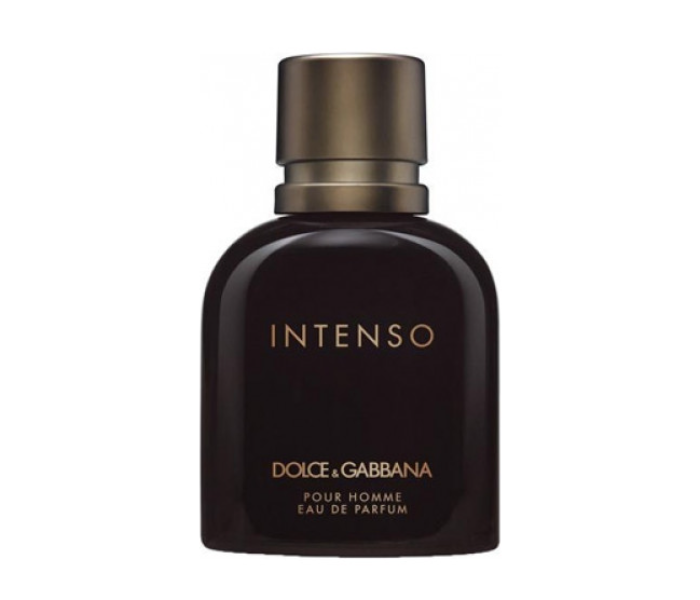 Buy Dolce and Gabbana 75ml Intenso Pour Ho98833 Price in Oman