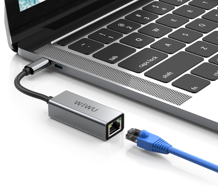 Wiwu ALPHARJ45G Type-C To USB-C Hub - Grey - Zoom Image 2