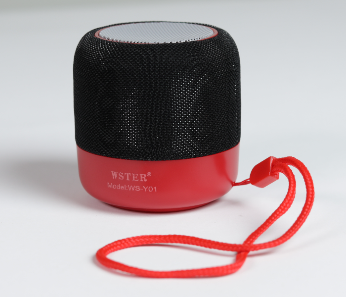 WSTER WS-Y01 Wireless Stereo Speaker - Black - Zoom Image 1