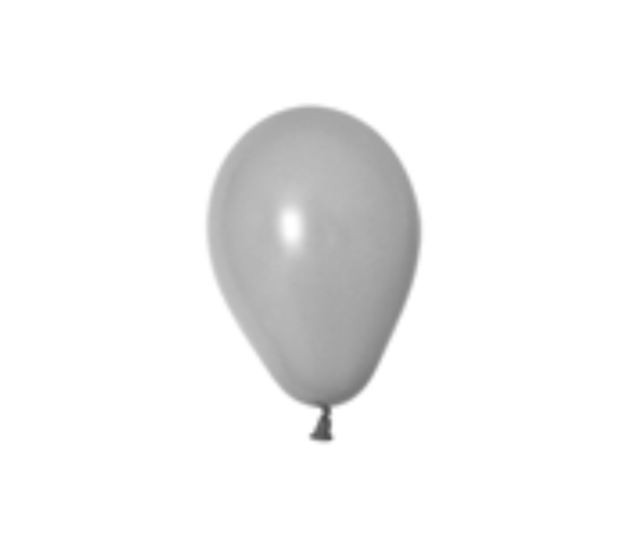 Stylatex Set of 20 Pcs 12 Inch Latex Balloon -Grey - Zoom Image