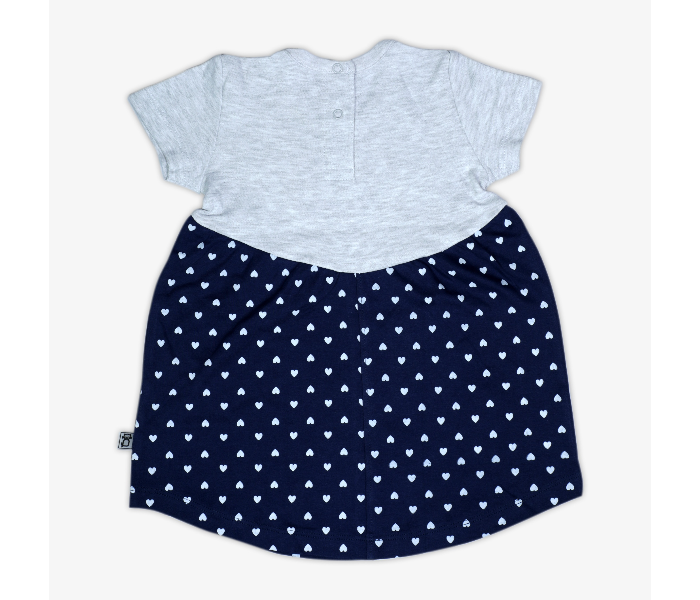 Hugs and Kisses SU19MGL13 3-6Month Blooming Heart Baby Girl Frocks -Grey and Blue - Zoom Image 3