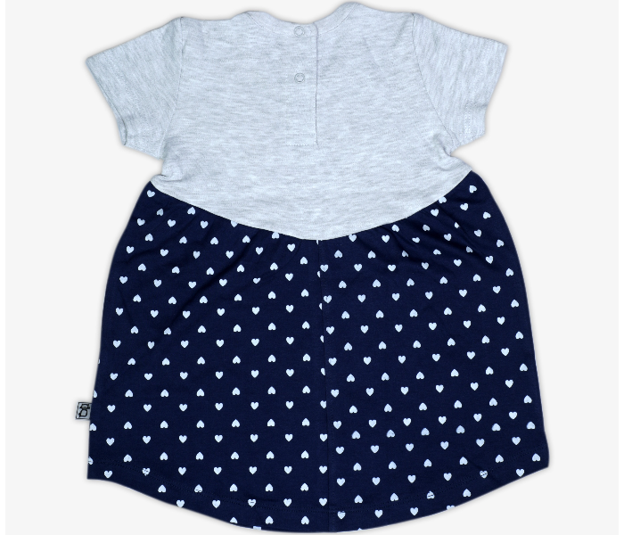 Hugs and Kisses SU19MGL13 12-18Month Blooming Heart Baby Girl Frocks -Grey and Blue - Zoom Image 2