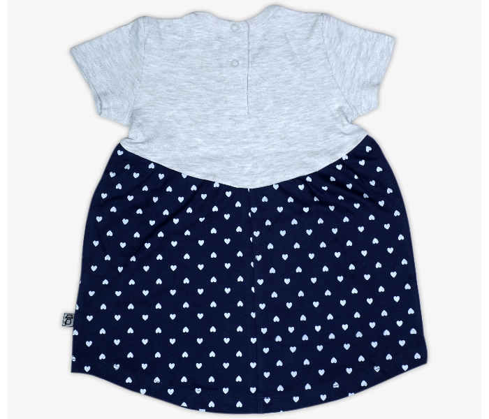 Hugs and Kisses SU19MGL13 6-9Month Blooming Heart Baby Girl Frocks -Grey and Blue - Zoom Image 2