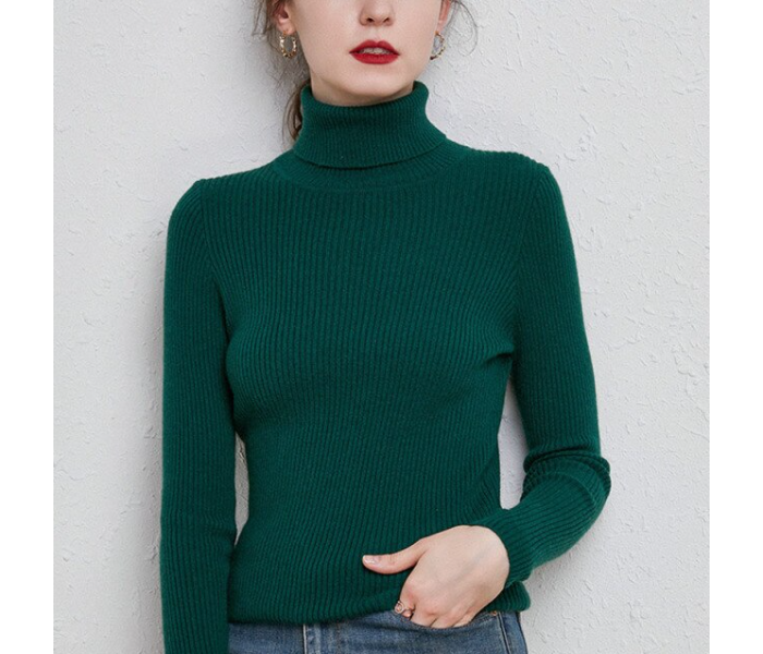 Set of 2 6611 Autumn Turtle Neck Cashmere Winter Pullover Sweaters  For Women - Zoom Image 4