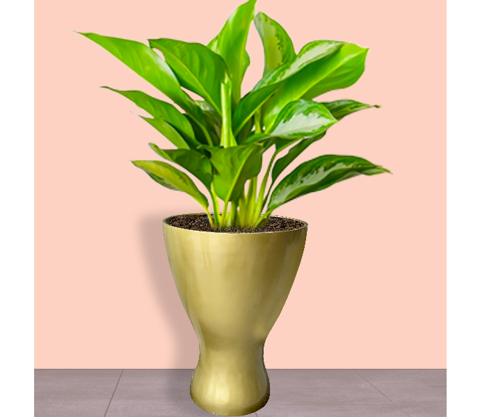 Grace GQ-303/A Exotic Royal Design Garden GRP Planters for Interior and Exterior - Gold - Zoom Image 5