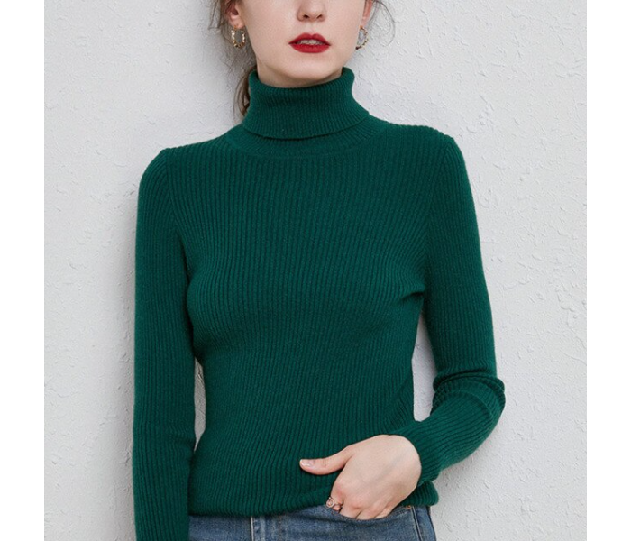 6611 Autumn Turtle Neck Cashmere Winter Pullover Sweaters For Women Assorted - Zoom Image 4