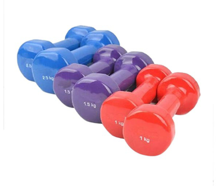 Body Line Sport 10Kg Dumbbells Set With Carrying Case -Blue and Red - Zoom Image