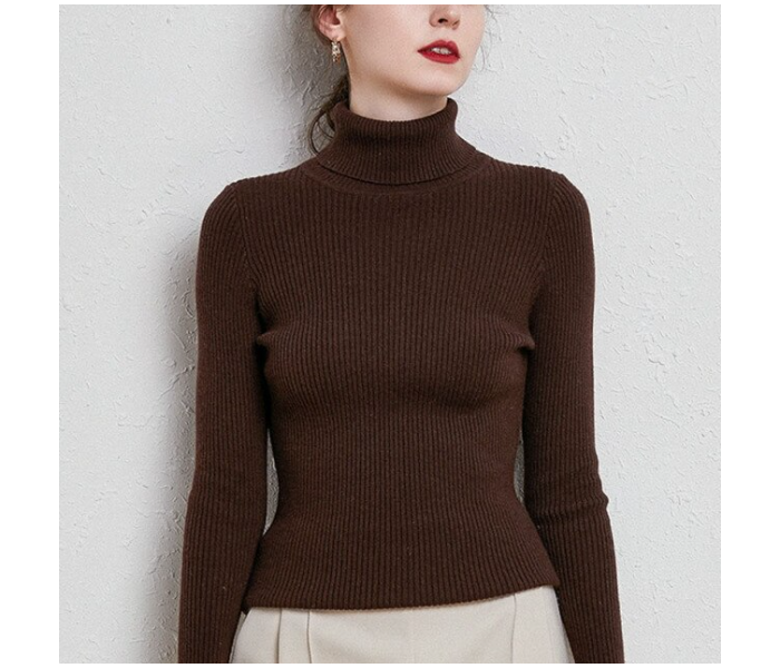 6611 Autumn Turtle Neck Cashmere Winter Pullover Sweaters For Women Assorted - Zoom Image 5