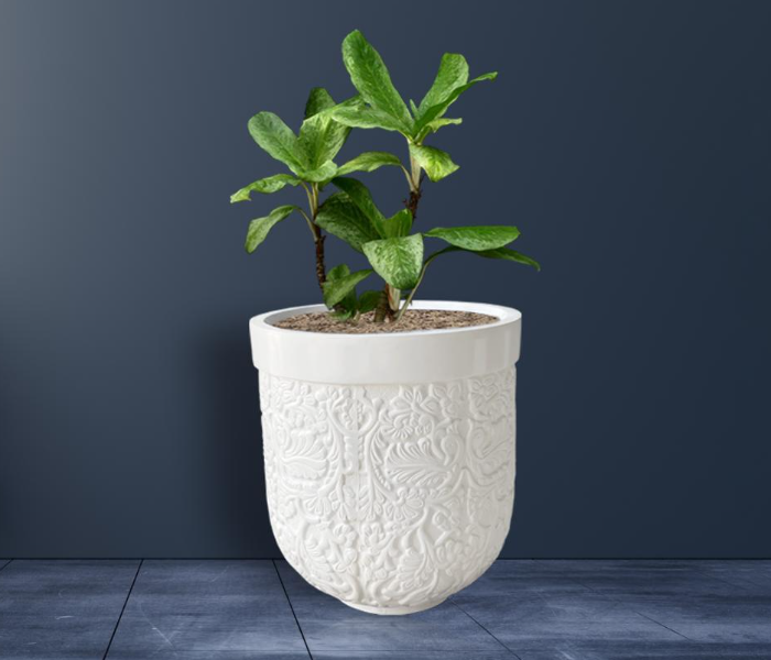 Grace GQ-108/A 540x660mm Exotic Royal Design Garden GRP Planters for Interior and Exterior - White - Zoom Image 5