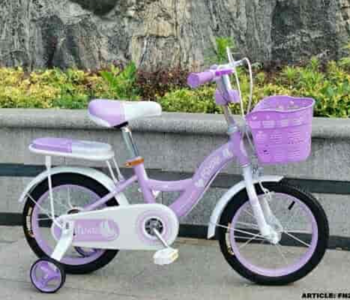 FN20206-18 18 Inch Fast Rolling Bicycle with Training Wheels and Basket - Purple - Zoom Image