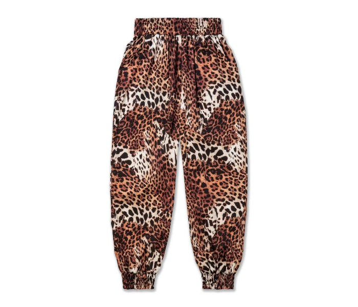 Pack of 6 Wide Leg Animal Printed 3 by 4 Assorted Palazzo for Women - Zoom Image 3