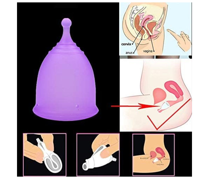 Set of 1 Small and 1 Large Reusable Menstrual Cup for Women - Purple - Zoom Image 2