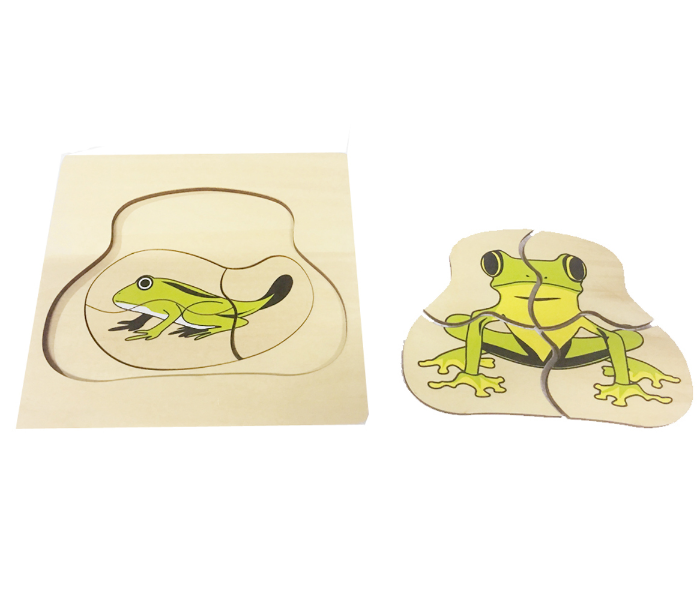 Montessori Educational Toy 202215 Life Cycle of a Frog Puzzle for Kids - Zoom Image