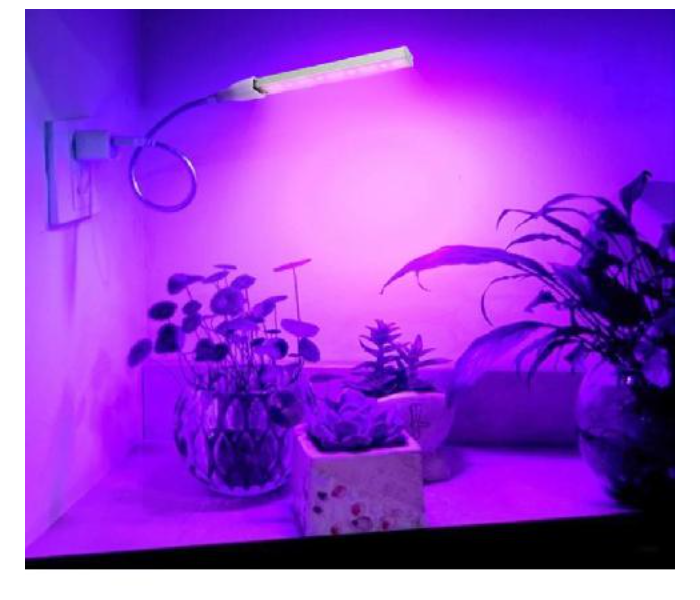 USB LED Plants Light - White - Zoom Image 2