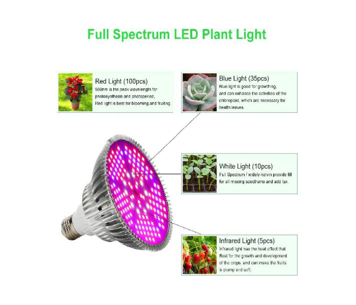 LED Grow Light 15Watts Full Spectrum Grow Lamp - White - Zoom Image 2