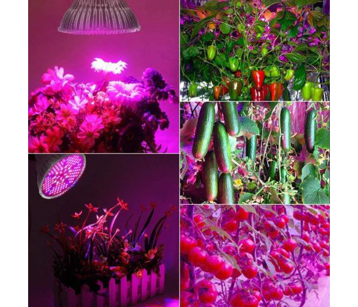 LED Grow Light 15Watts Full Spectrum Grow Lamp - White - Zoom Image 1