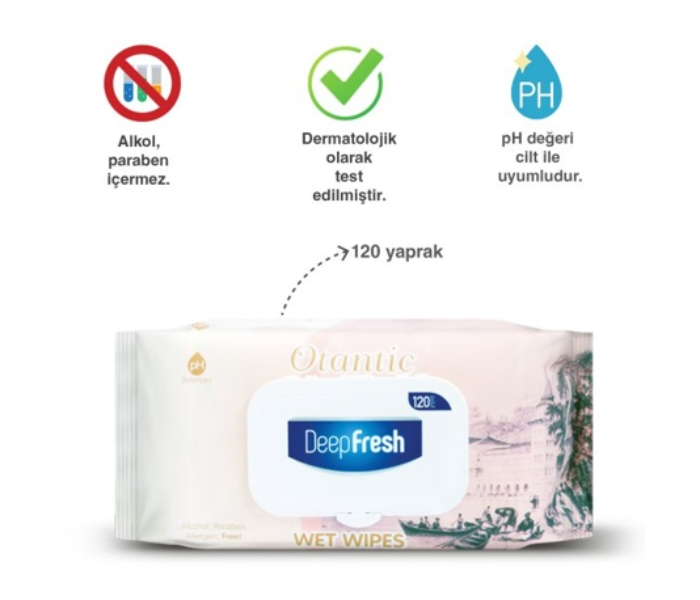 Deep Fresh Authentic Wet Wipes Istanbul Package of 120 Sheets - Zoom Image 2