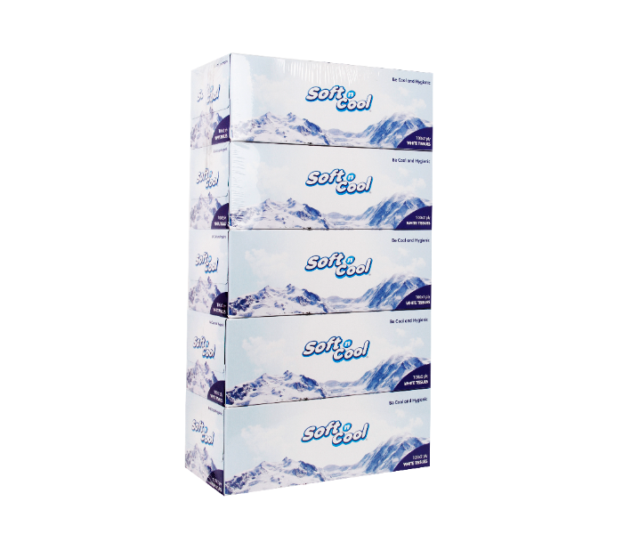 Hotpack SNCT100 5Box Soft n cool Facial Tissue 100 Pulls x 2Ply - Zoom Image 1