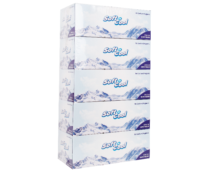 Hotpack SNCT200 5Box Soft n cool Facial Tissue 200 Pulls x 2Ply - Zoom Image