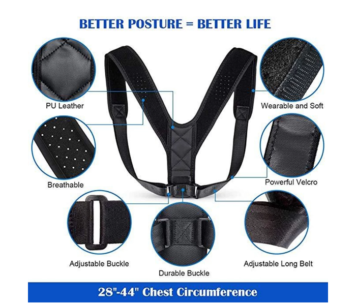 Adjustable Brace Support Belt for Back Support - Black  - Zoom Image 4