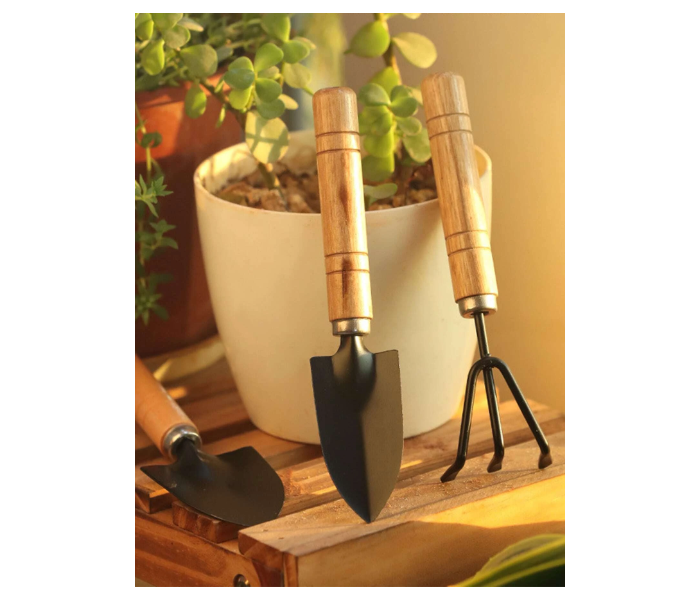 Galaxy Ocean 3 Pieces Garden Tool Set - Black and Brown - Zoom Image 1