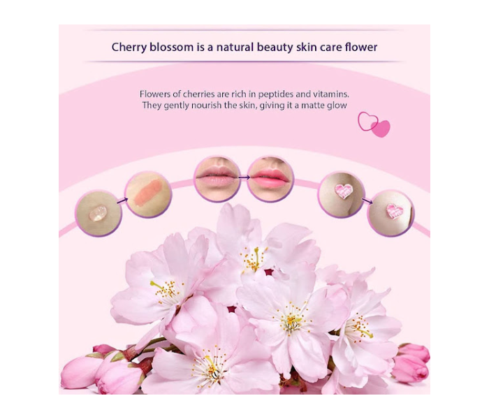 GTC Bioaoua Shell Pink Cherry Face Body Cream - Zoom Image 5